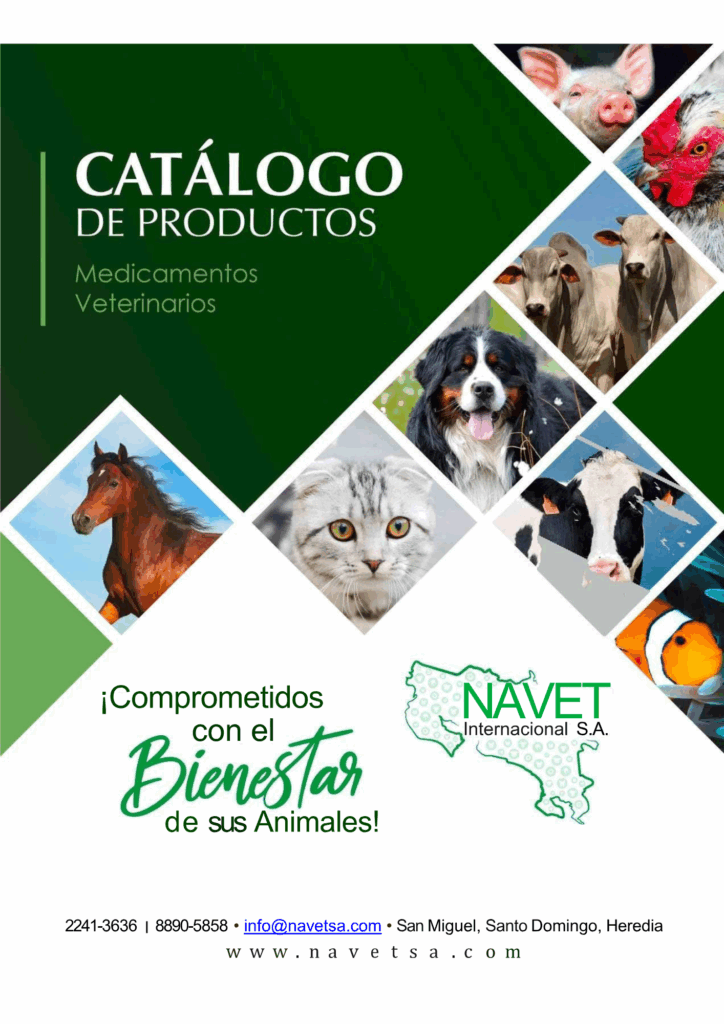 Catalogo Navet